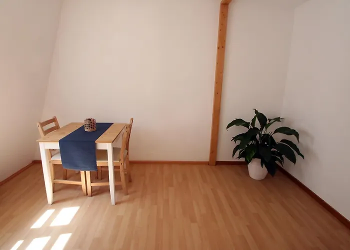 苏达凡住宿加早餐旅馆 酒店 海德堡