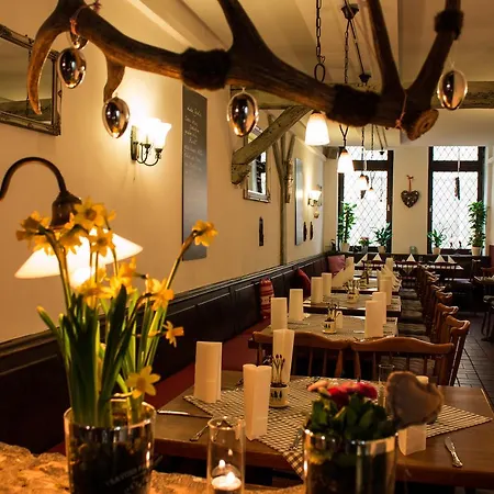 Sudpfanne היידלברג